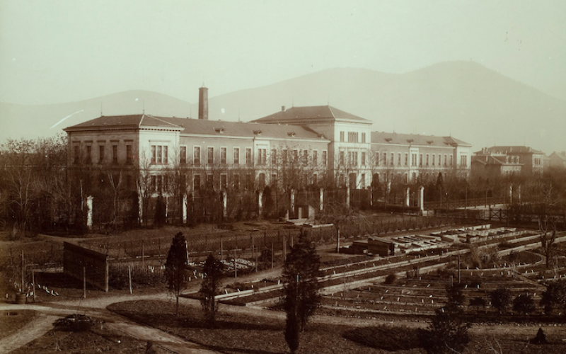 Psychiatrie an der Vossstraße in Heidelberg, Foto von 1900-1925