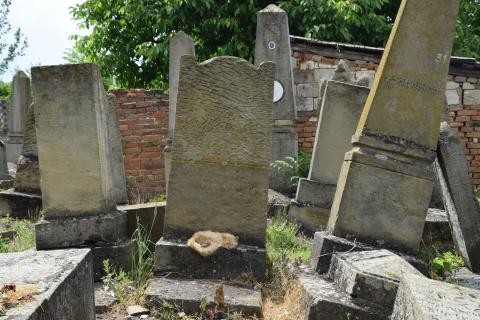 Der Jüdische Friedhof von Vălcineţ, 13. Juni 2017, © Maren Röger