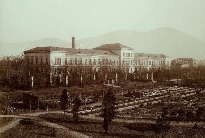 Psychiatrie an der Vossstraße in Heidelberg, Foto von 1900-1925